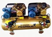 May nen khi Pegalion TM-V-0.25/12.5x2-230L (6HP)