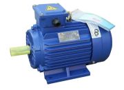 Motor dong co dien Chimppro YL