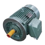 Motor mặt bích 3 pha Việt Hung VIHEM (HEM)