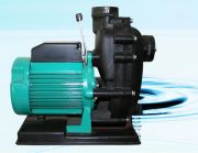 May bom nuoc bien Wilo PU S400E (400W)