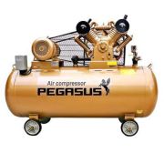 May nen khi Pegalion TM-V-1.05/12.5-330L (10HP)