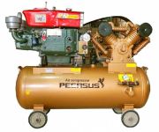 May nen khi chay dau dau no diesel Pegalion