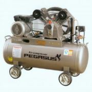 May nen khi Pegalion TM-V-0.25/8-180L (3HP)